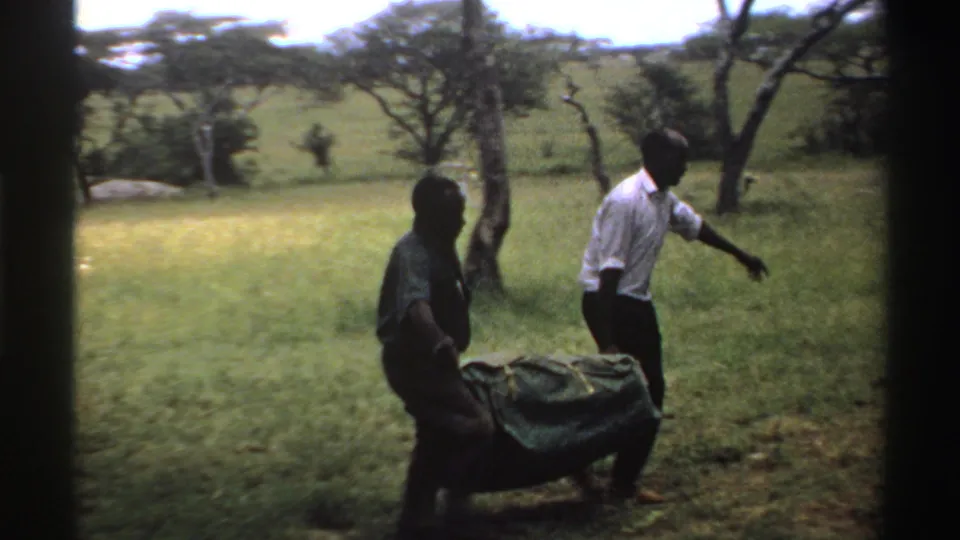 Near the end of the clip, two men carry the dark bundle across a grassy Nigeria field with trees behind them.