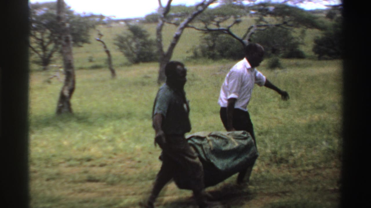 Two men carry a large green tarp across a grassy clearing with scattered trees.