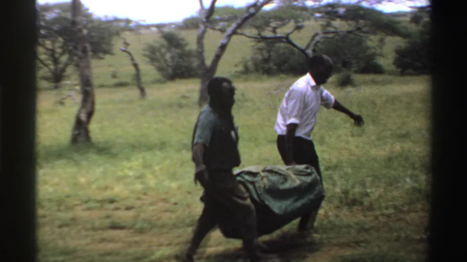 In 1969 Nigeria home-movie footage, two men walk through a grassy clearing carrying a bundled green tarp.