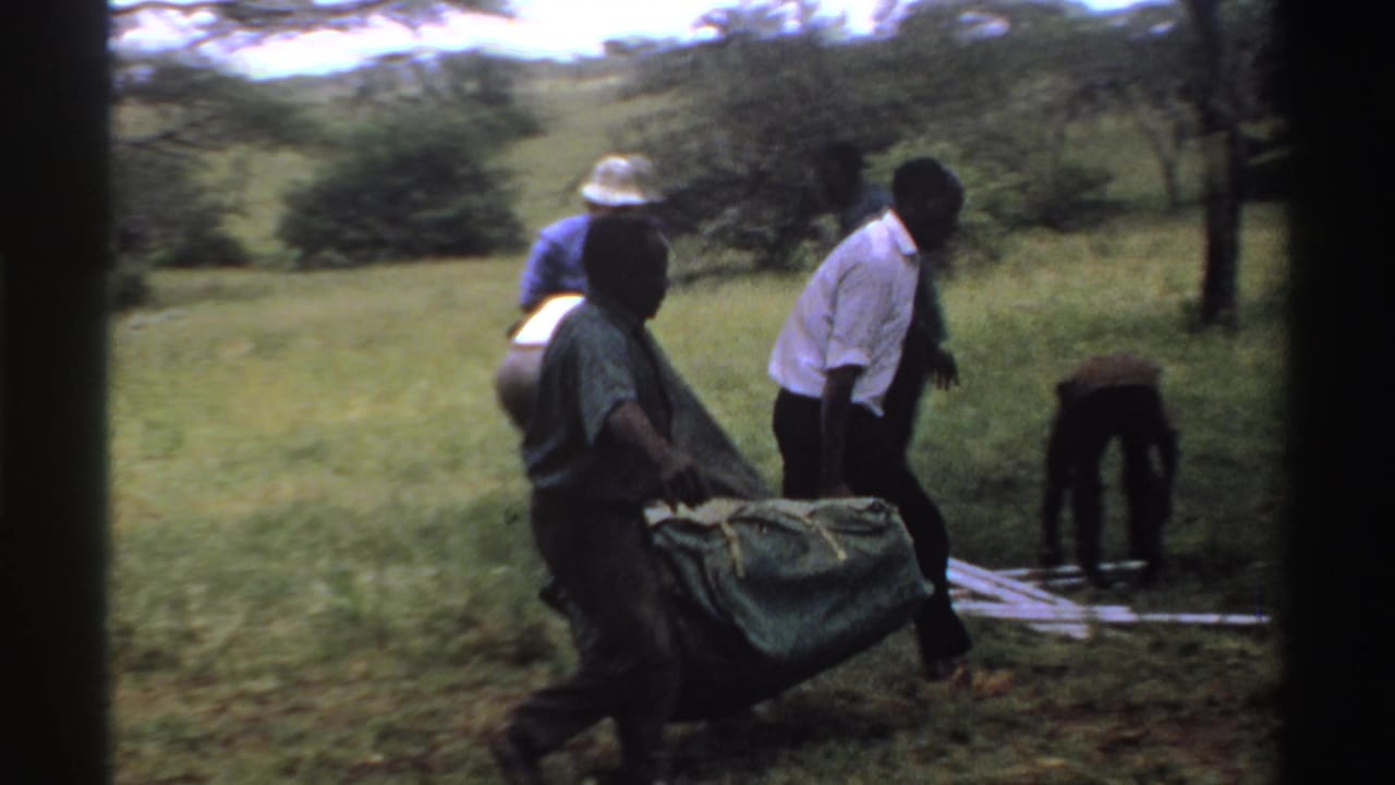 Men in a grassy Nigerian clearing carry and position a green tarp while others prepare a low object nearby.