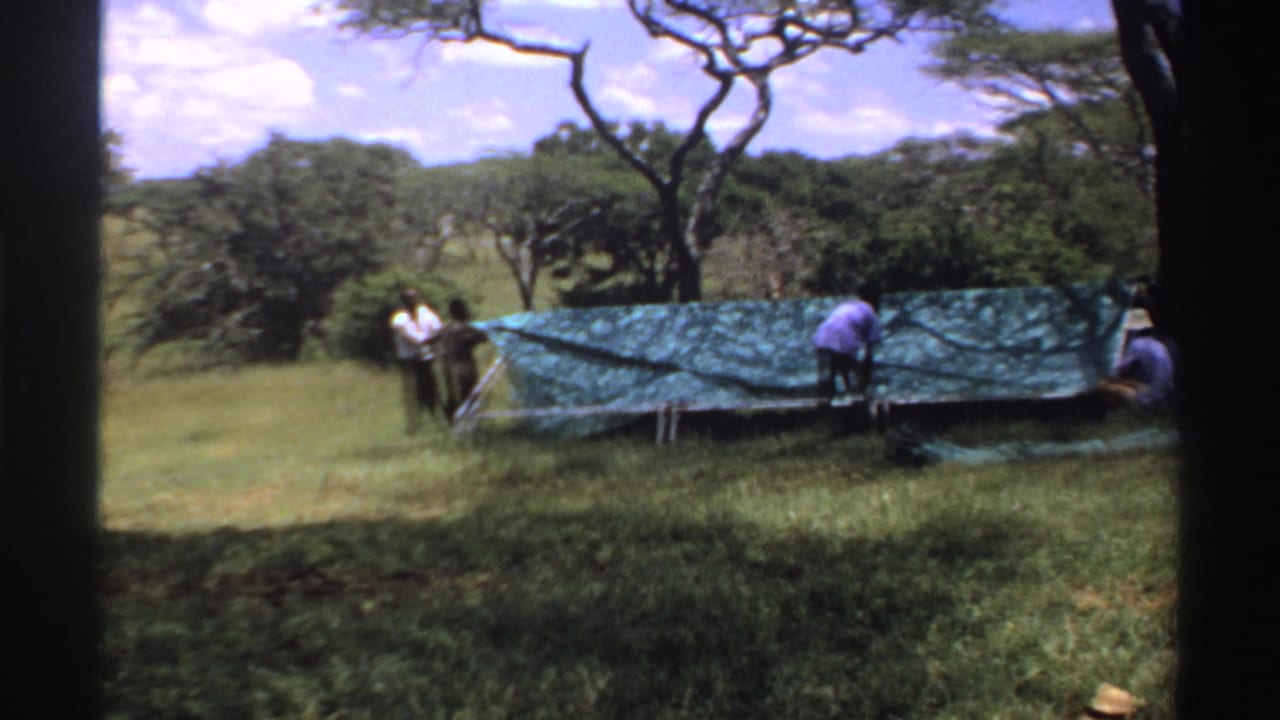 Several men stand and bend near a large green tarp or tent set among grass and trees.