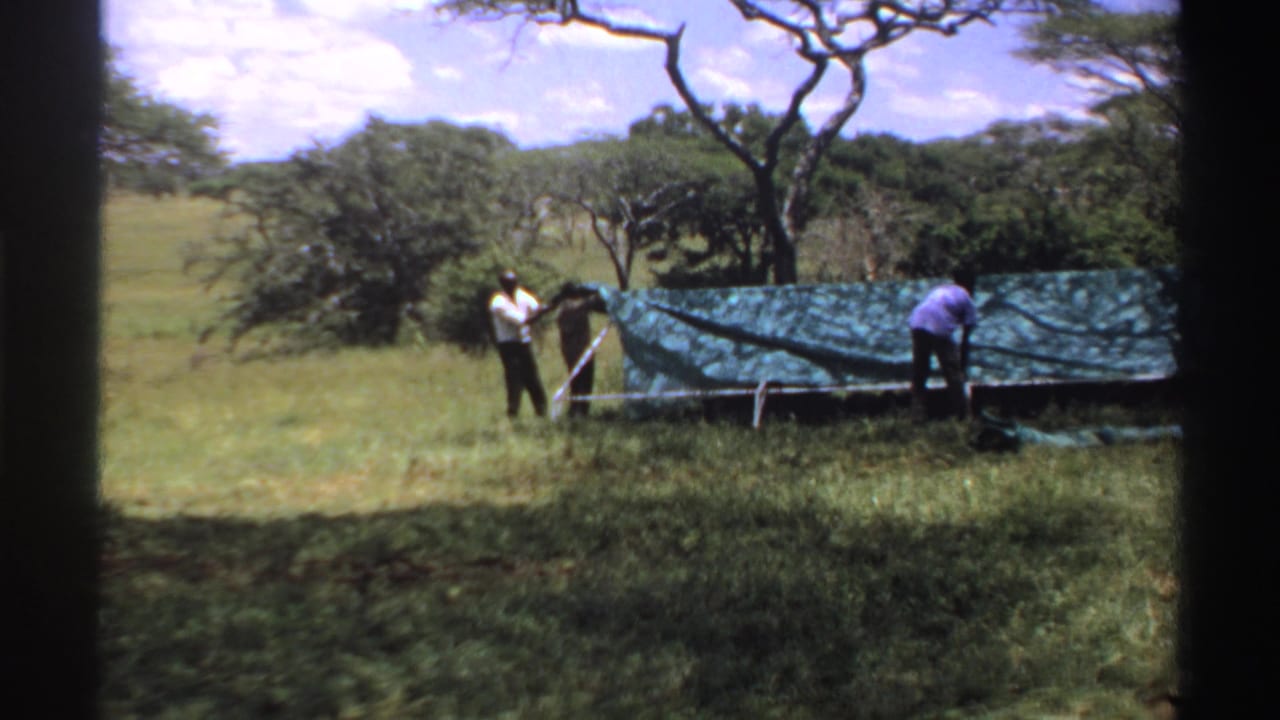 Late-1960s Nigeria frame showing men beside a partially pitched green tarp or tent in a rural clearing.