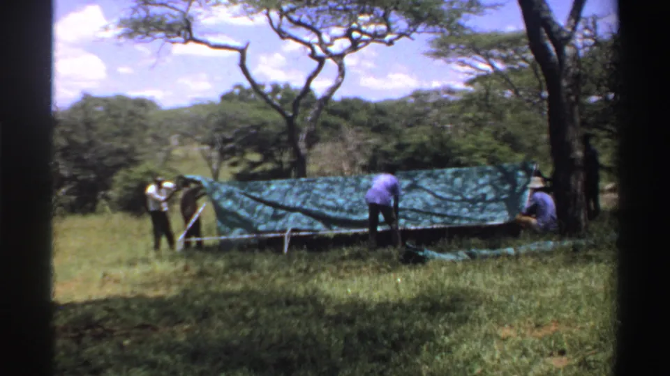 1969 Nigeria 8mm still with men securing a green tarp or tent amid tall grass, trees, and distant hills.