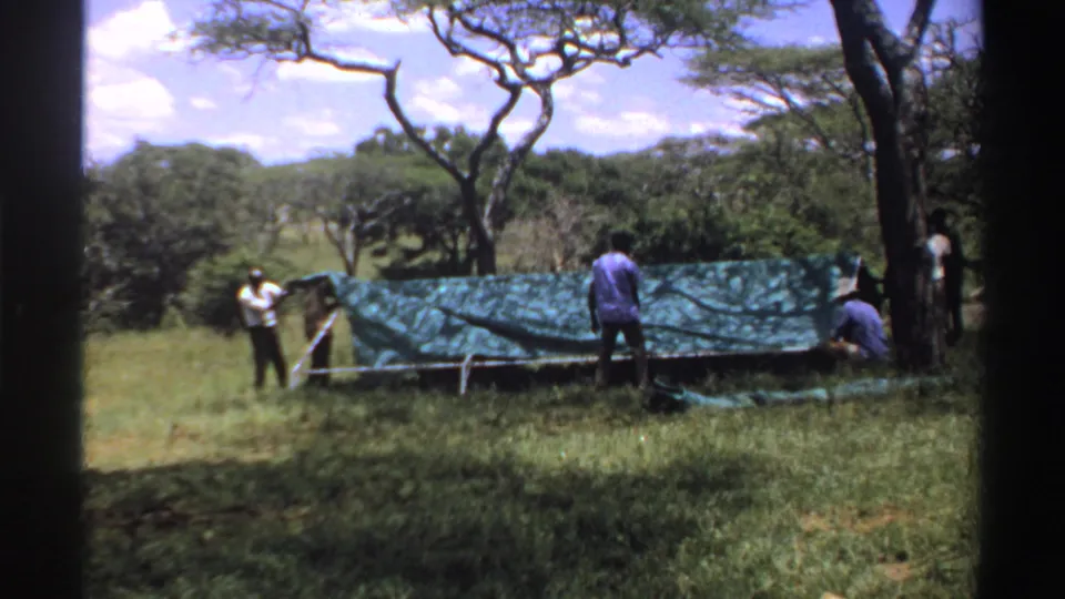 1969 Nigeria 8mm frame showing adults working around a large green tarp shelter in open grassland with scattered trees.