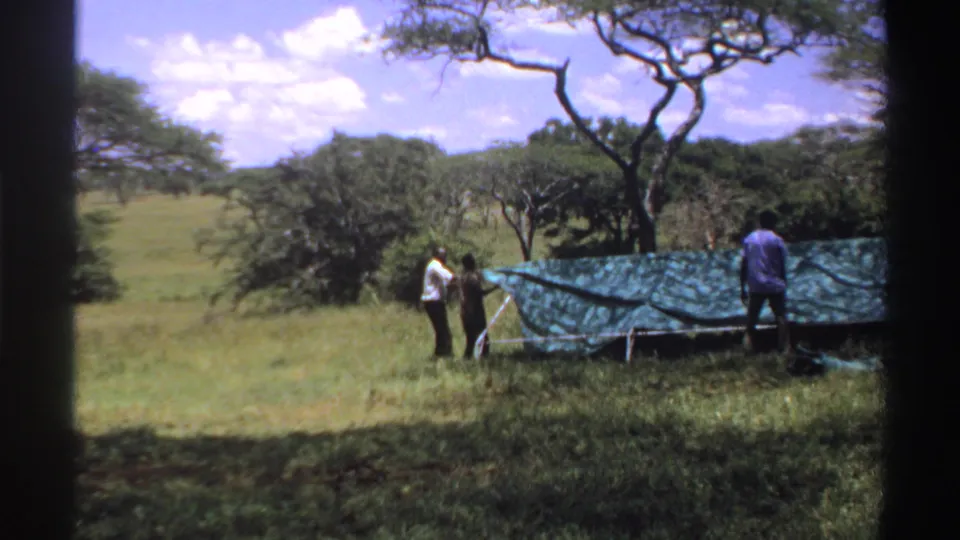 1969 Nigeria 8mm frame showing two adults at the side of a green tarp shelter with trees and open grassland behind them.