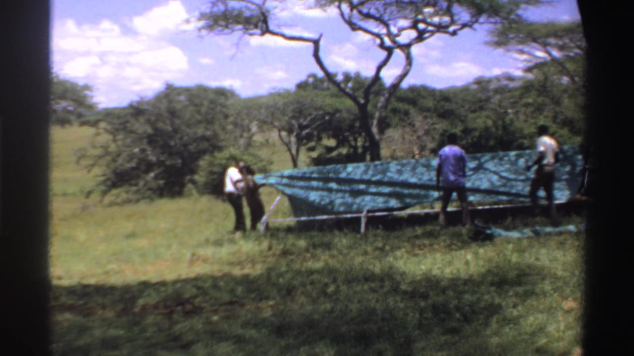 1969 Nigeria home-movie frame with people gathered around a long green tarp shelter amid grass, trees, and bright sky.