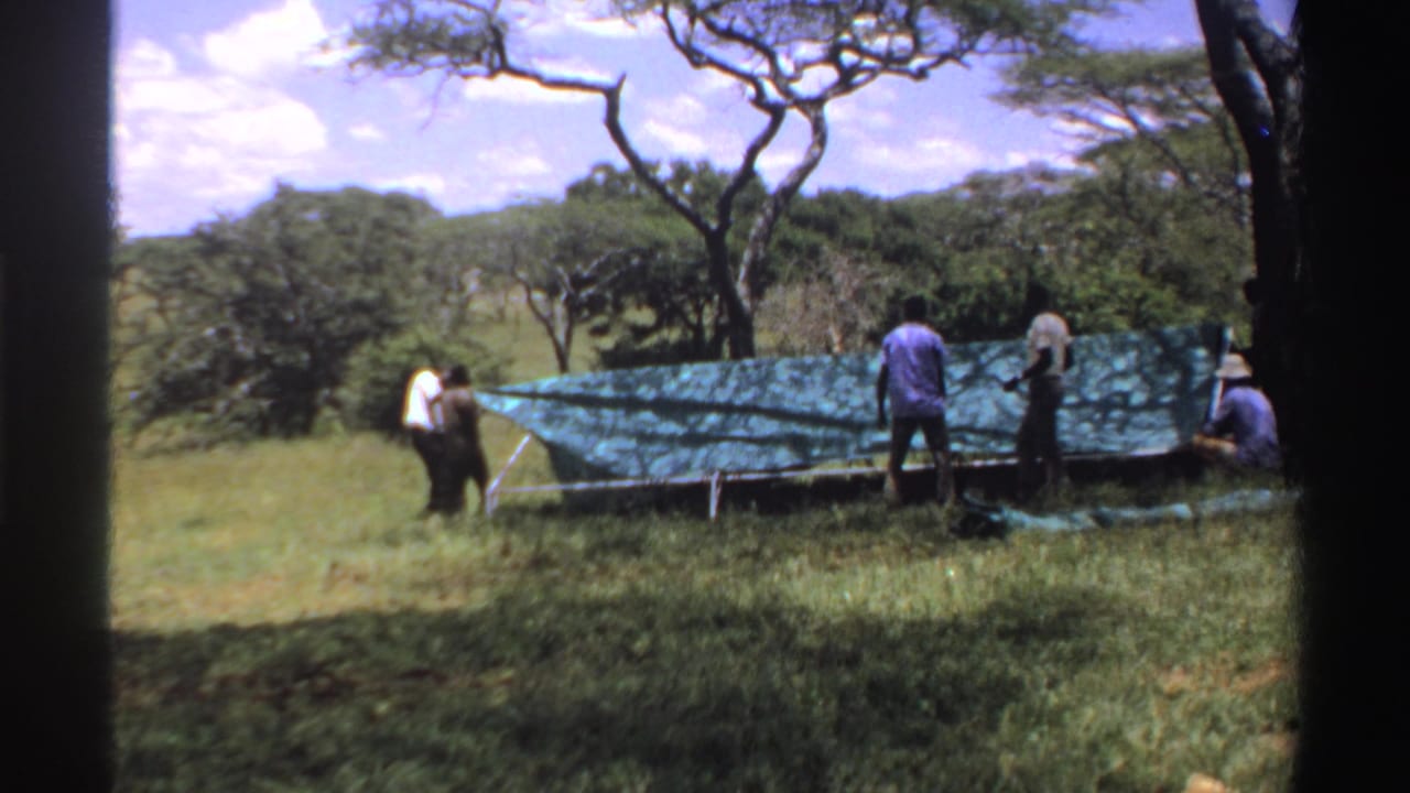 Men work around a green tarp shelter in a grassy clearing with trees behind them.