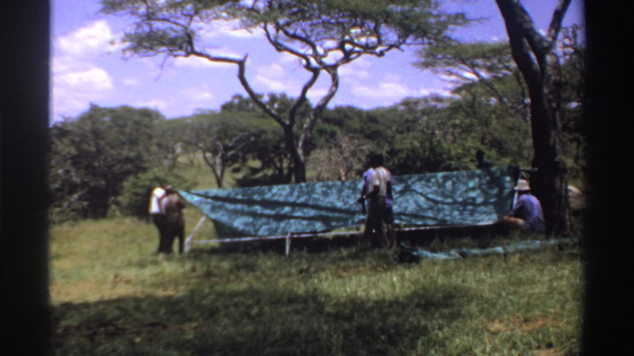 Several men in 1969 Nigeria footage stand beside a green tarp shelter under trees in an open grassy area.