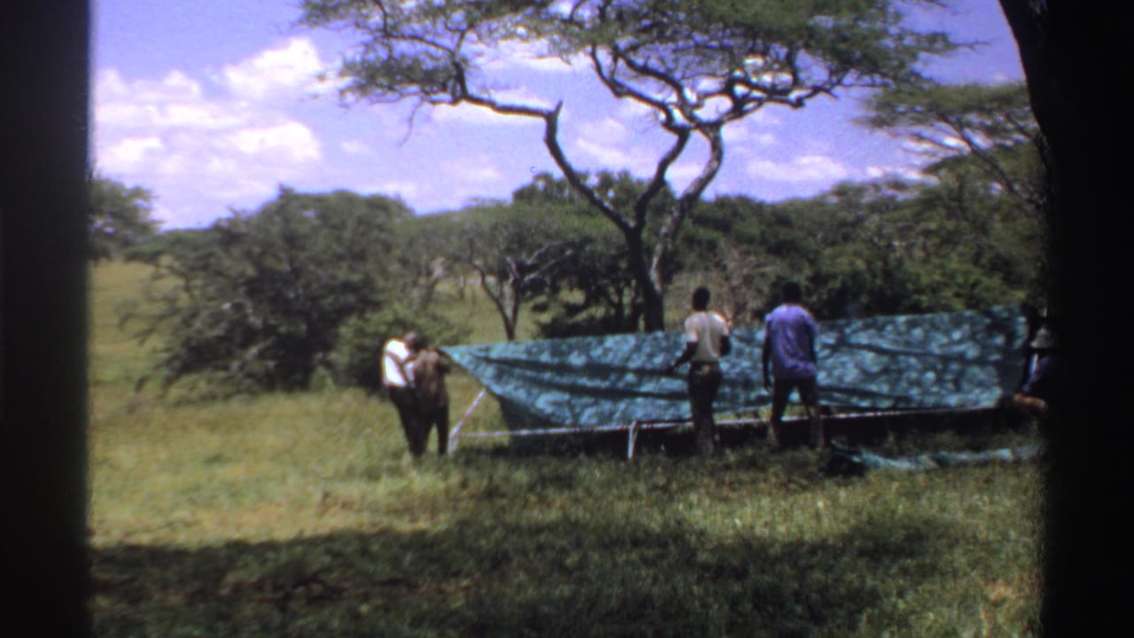 Men continue work on a green tarp-and-pole shelter in Nigeria, with trees and tall grass visible around them.