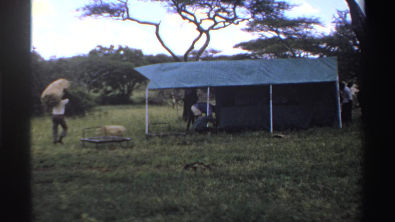 A green tarp shelter appears nearly assembled in a Nigerian savanna clearing, with men standing and moving around it.