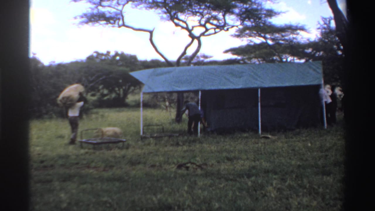 In 1969 Nigeria, men appear to work around a blue tarp shelter in grass as one carries a large bundle under trees.