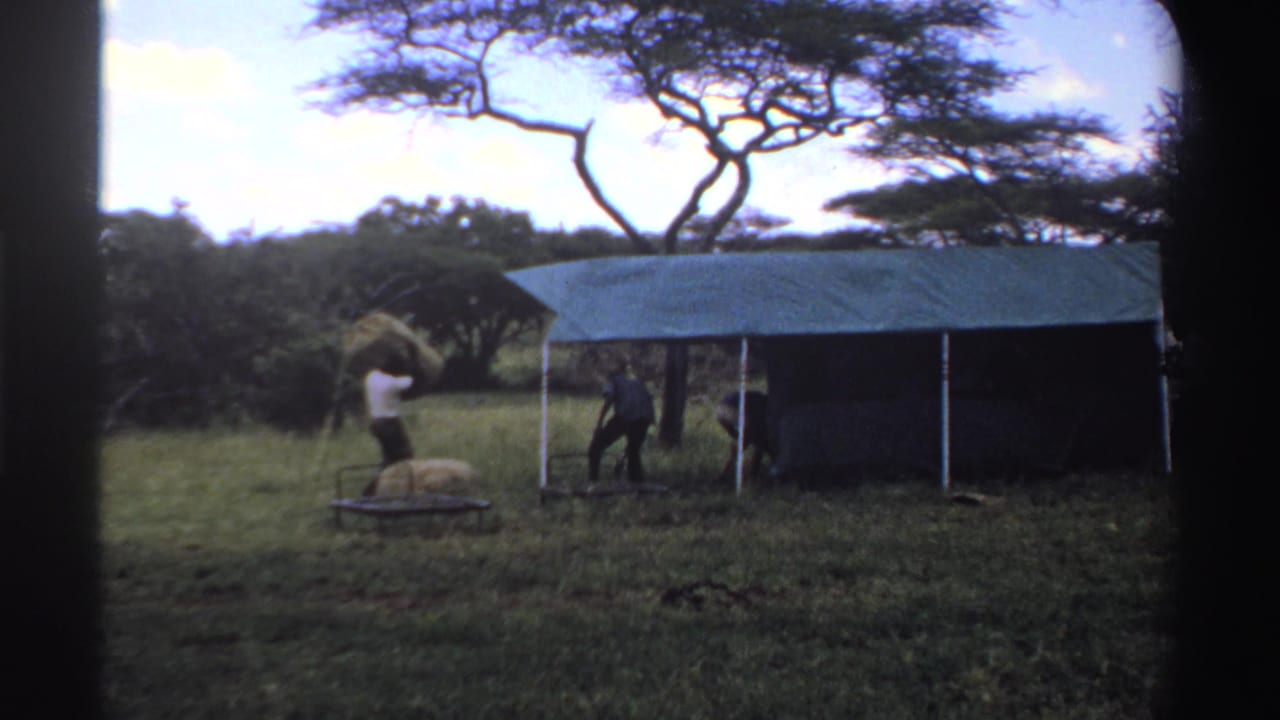 A man carries a large bundle across the grassy area near a blue tarp shelter, with other people visible by the tent in Nigeria.