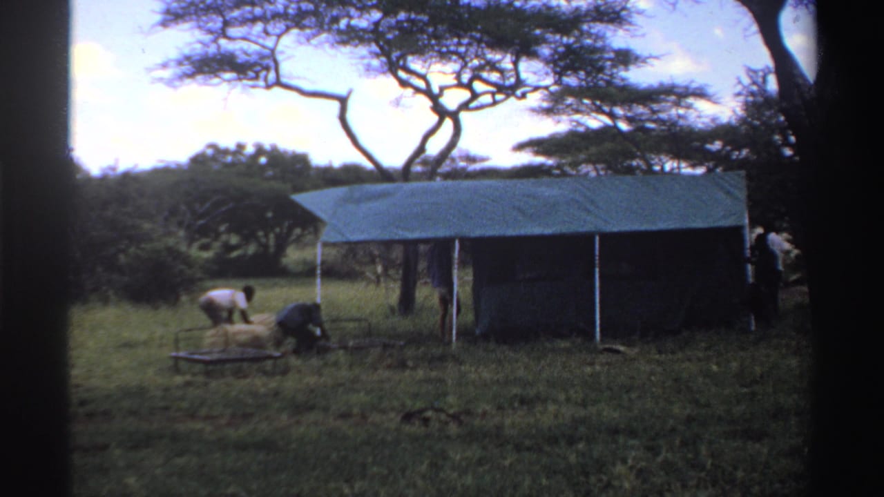 Two men work low to the ground near supplies in front of a blue tarp shelter, with trees behind them in the Nigerian setting.