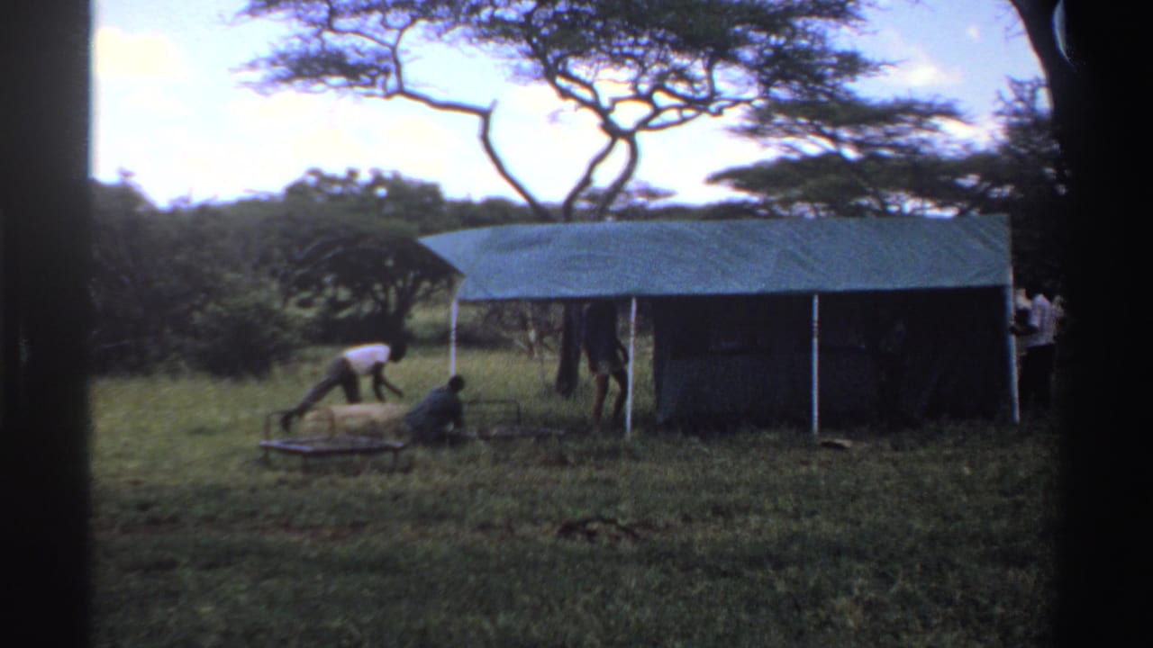Men continue arranging items near the blue tarp shelter in a grassy Nigerian landscape, with one figure low beside the supplies.