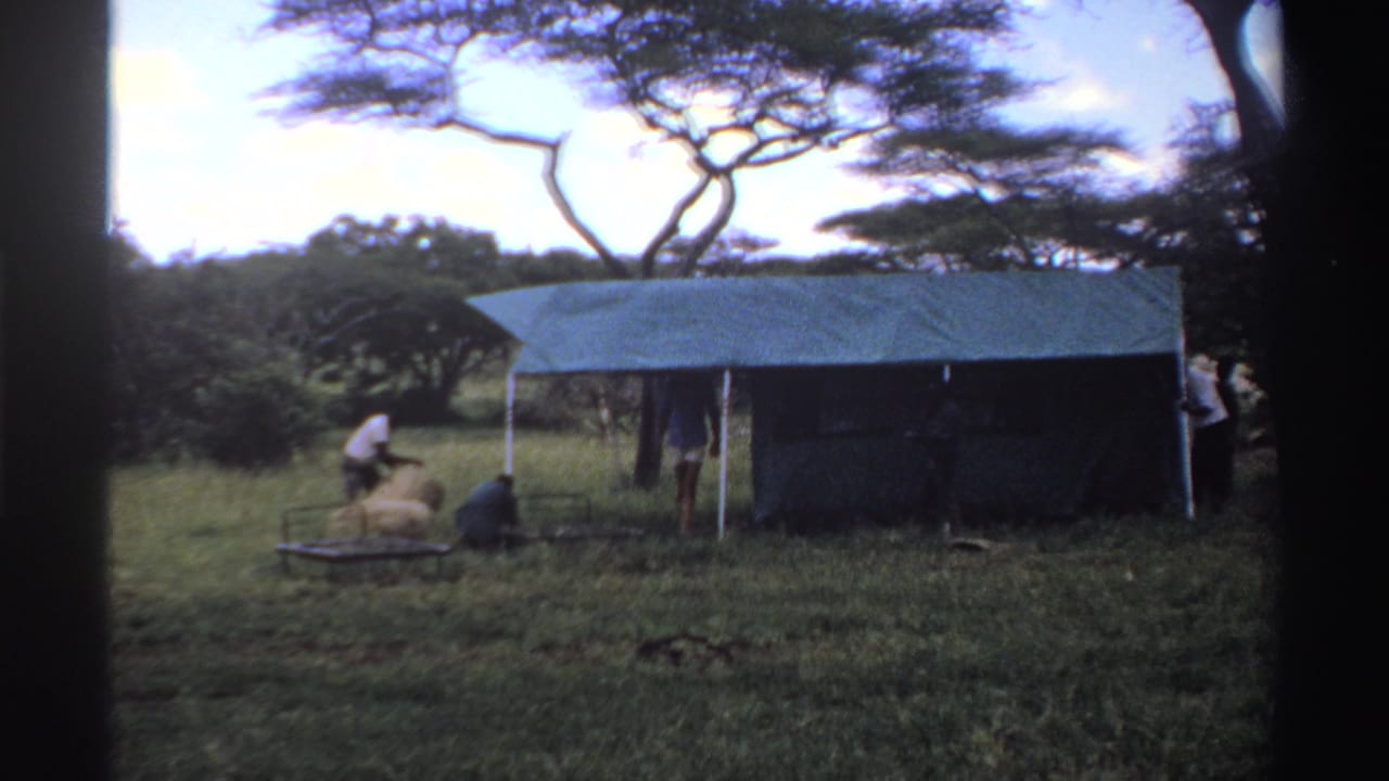 Men work near a blue tarp shelter in a grassy field with trees behind it.