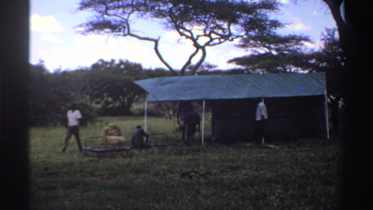 1969 Nigeria 8mm frame showing men dispersed around a blue tarp work shelter in a grassy field with acacia-like trees behind.