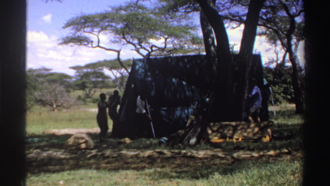 People stand beside a dark tarp shelter under trees in an open grassy landscape.