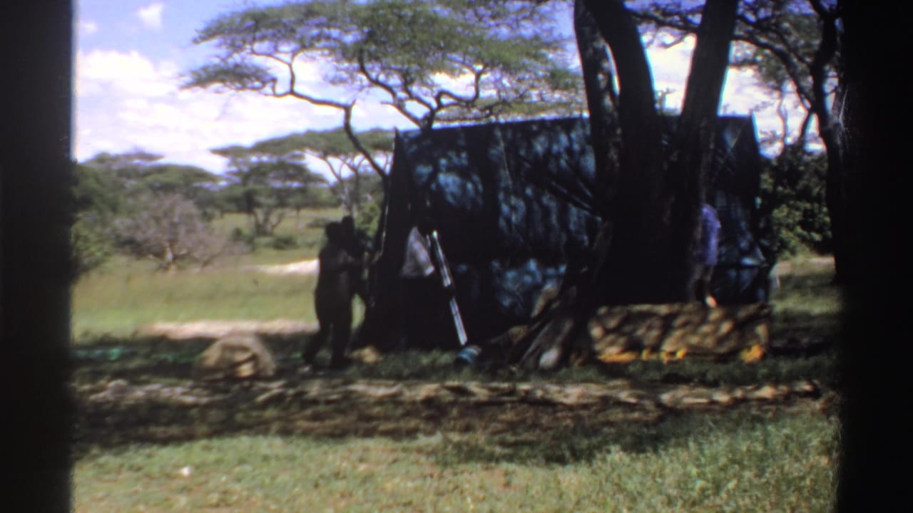 Nigeria 1969 footage shows people around a dark temporary tarp shelter, partly shaded by trees with a pale dirt path in the background.