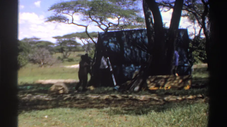 Nigeria 1969 footage shows people around a dark temporary tarp shelter, partly shaded by trees with a pale dirt path in the background.
