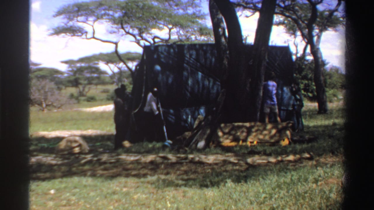 In this Nigeria 1969 frame, a person stands near the side of a dark tarp shelter as others remain close to the shaded frame.