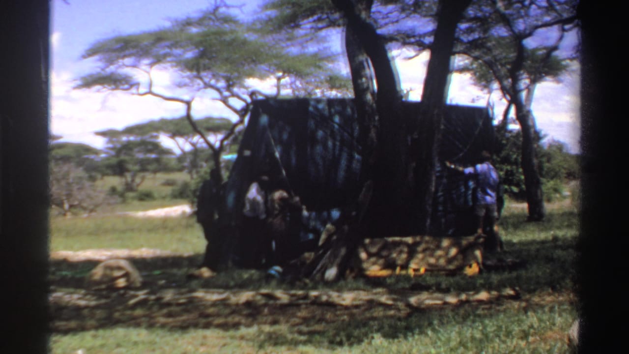 Men work around a green tarp shelter beneath trees in a grassy clearing.