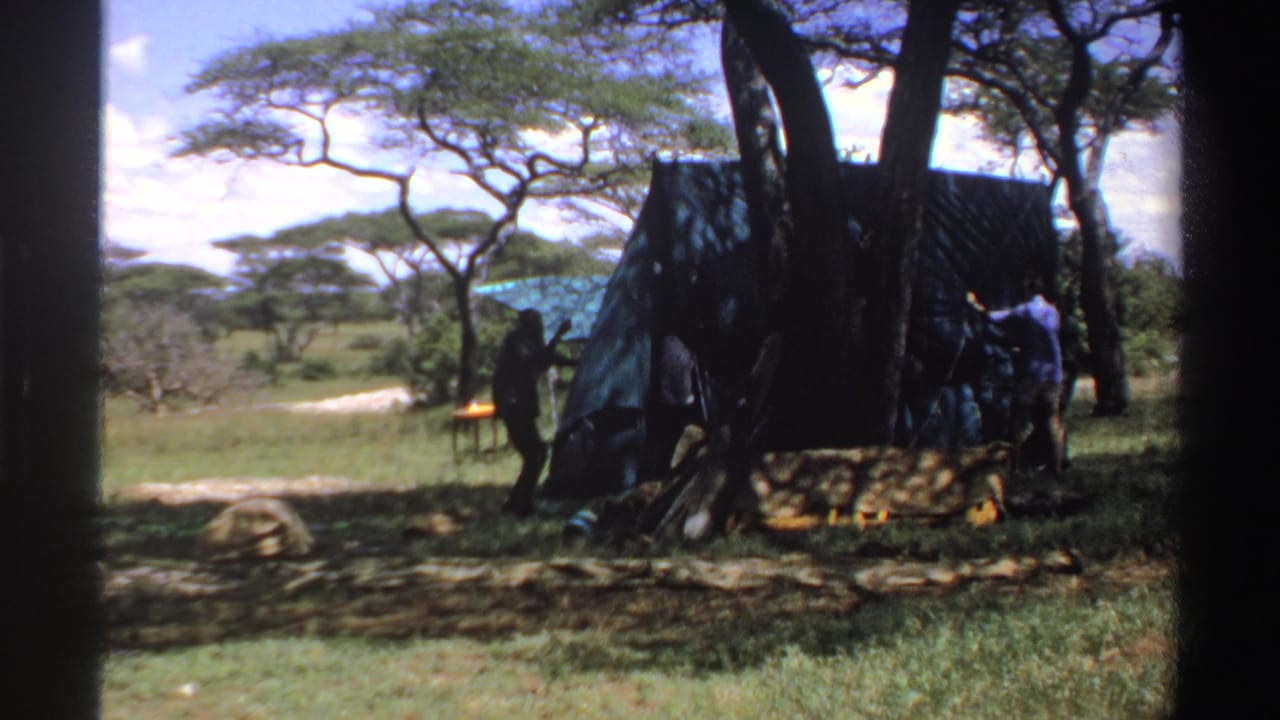 Several men stand beside a large green tarp structure under trees.