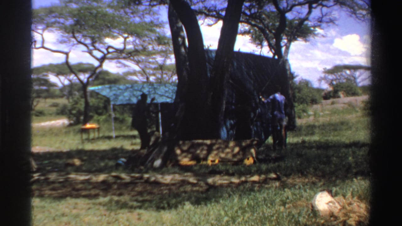 A 1969 Nigeria frame shows a man near the side of a green tarp shelter, with trees, grass, and a pale road beyond.