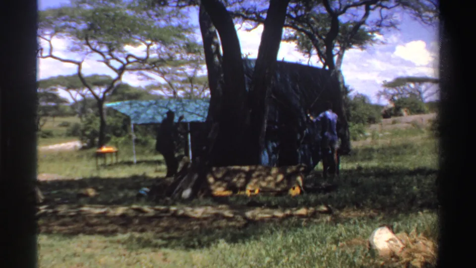 A 1969 Nigeria frame shows a man near the side of a green tarp shelter, with trees, grass, and a pale road beyond.