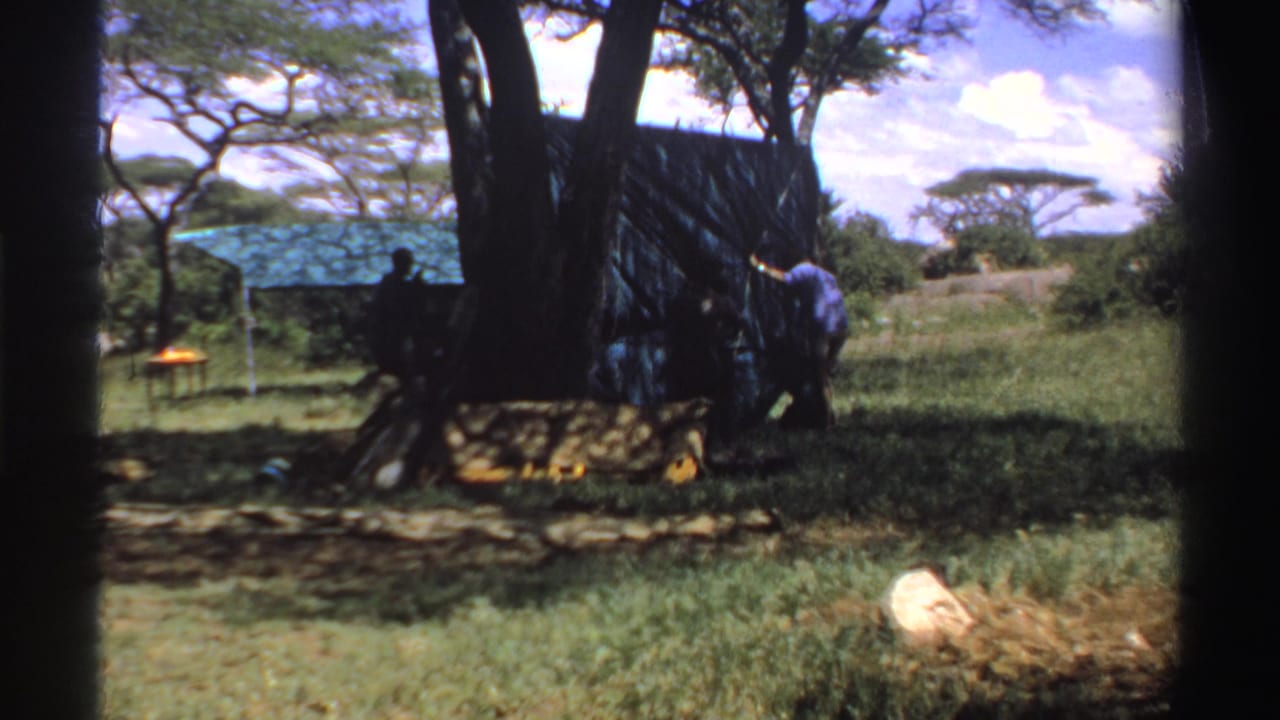Men working beside a blue tarp shelter under a large tree in a grassy outdoor setting.