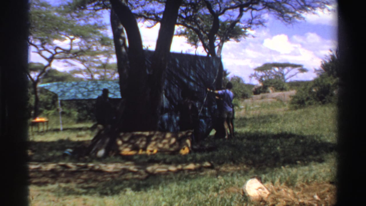 1969 Nigeria frame showing men around a partially raised blue tarp shelter under a large tree in open countryside.