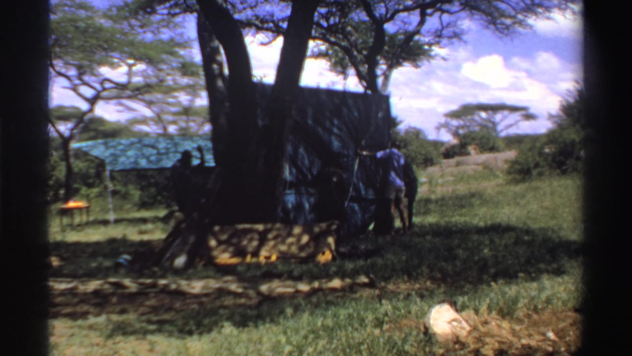 1969 Nigeria 8mm frame with a man beside a blue tarp shelter and other figures in the tree shade.