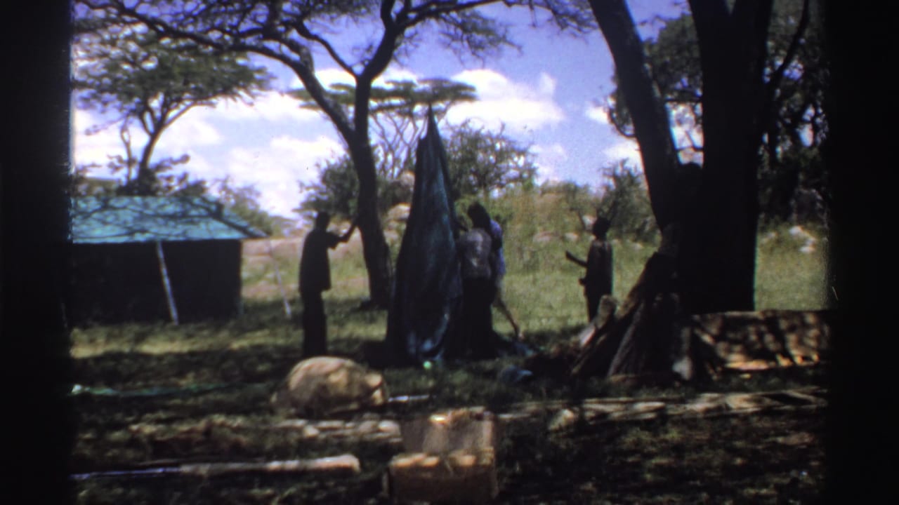 1969 Nigeria home-movie frame of a group adjusting a tall tent or sheet under shade trees in a grassy area.