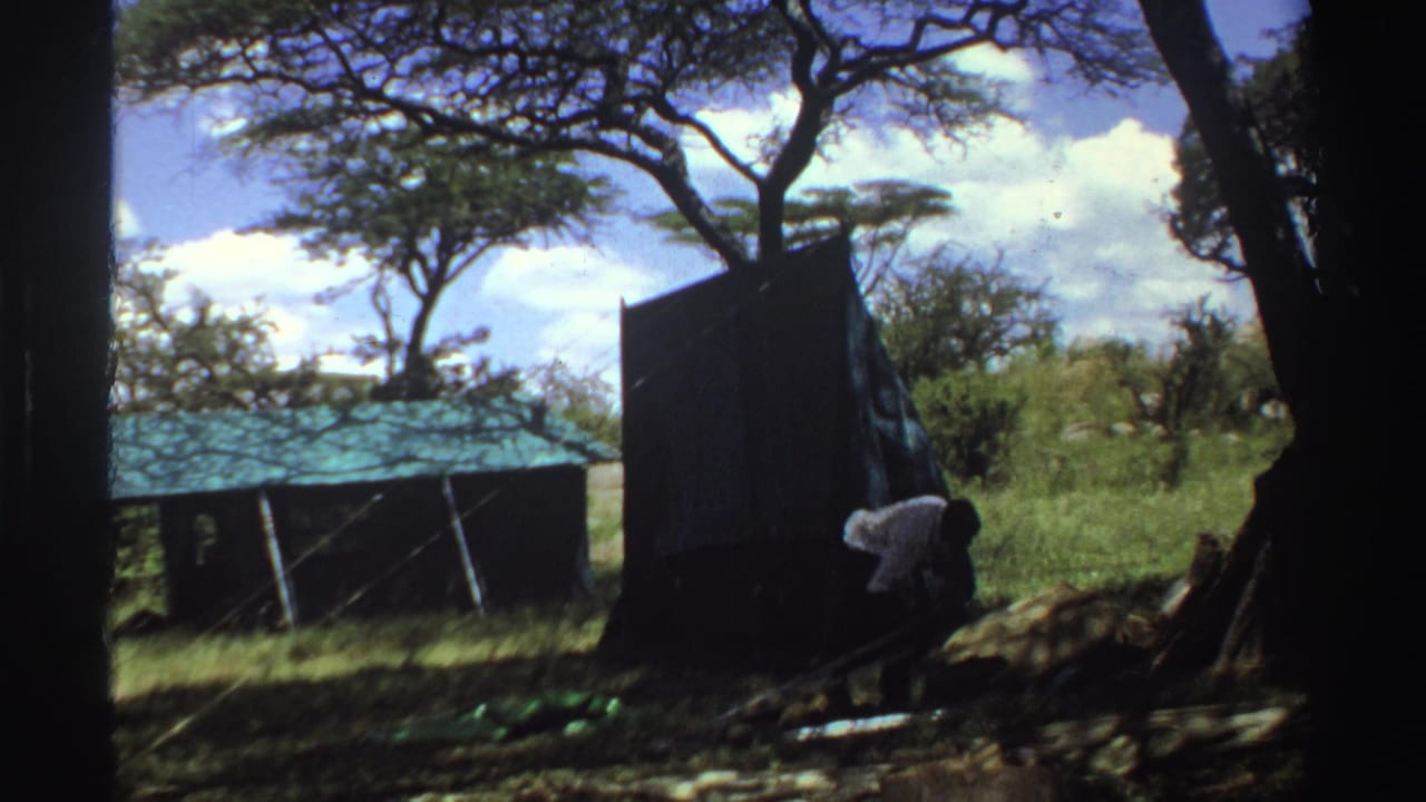 Dark tent and low shelter in a grassy clearing under trees, with a person partly visible near the tent.