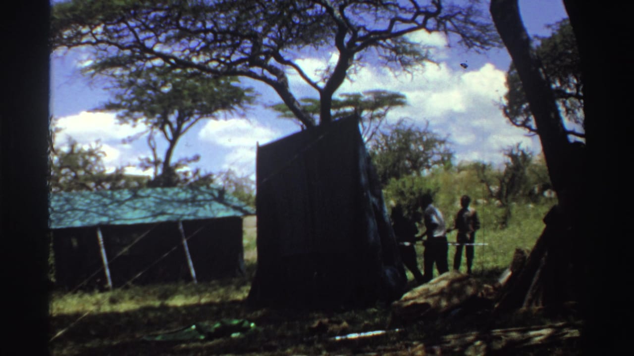 In 1969 Nigeria, three men work beside a dark tent panel in a shaded savanna camp with trees, grass, and a green-roofed structure behind them.