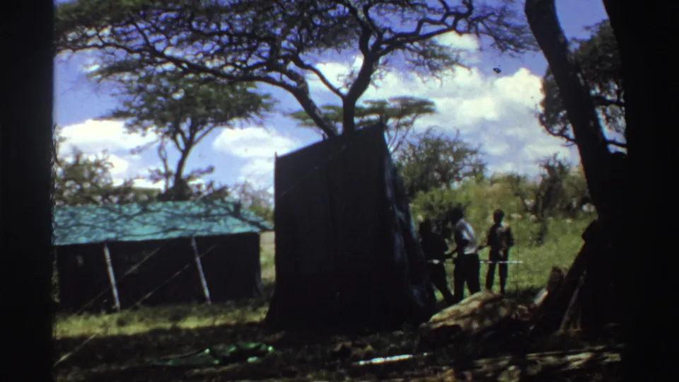 In 1969 Nigeria, three men work beside a dark tent panel in a shaded savanna camp with trees, grass, and a green-roofed structure behind them.