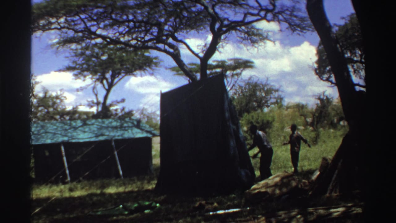 In the Nigeria camp scene, two men handle the tent edge while a third figure stands to the right among grass and trees.