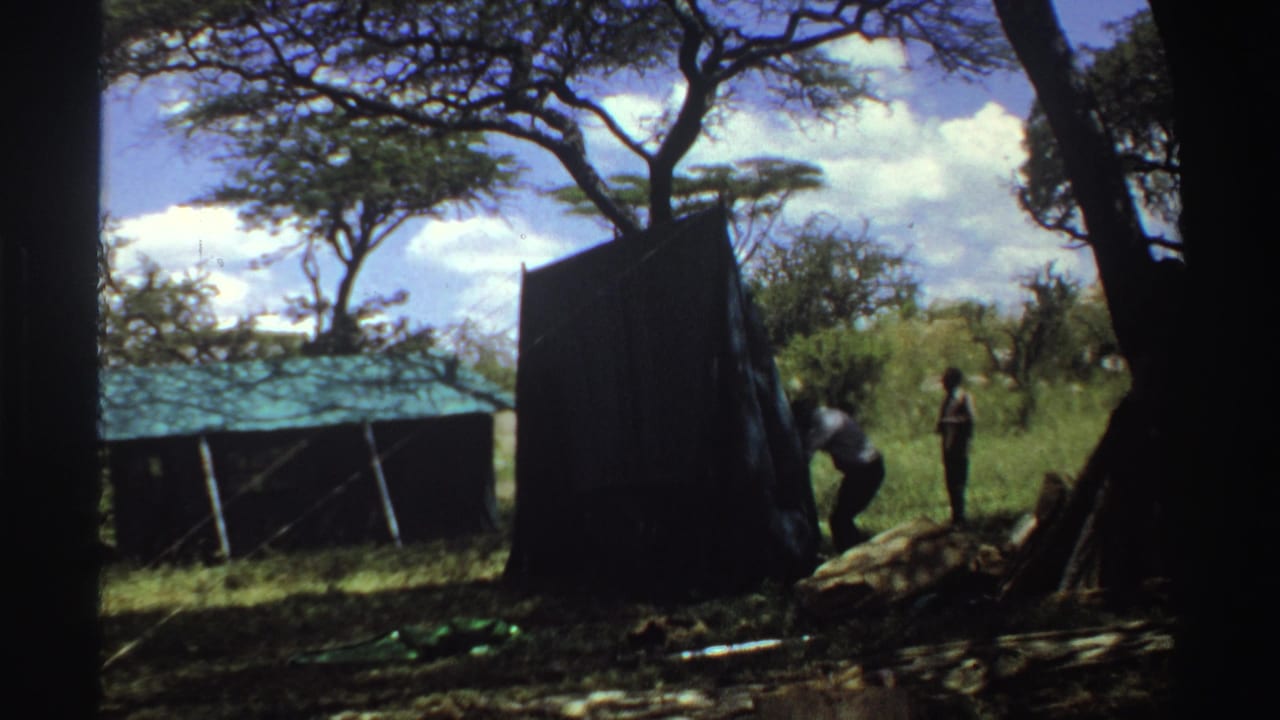 A man bends to work near the dark tent panel as another stands nearby in the 1969 Nigeria savanna camp clearing.