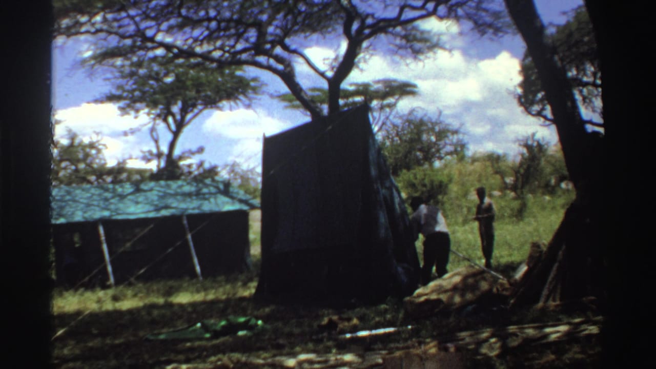 Two men continue work around the large dark tent in the Nigerian savanna clearing, with trees, grass, and a green-roofed structure visible.