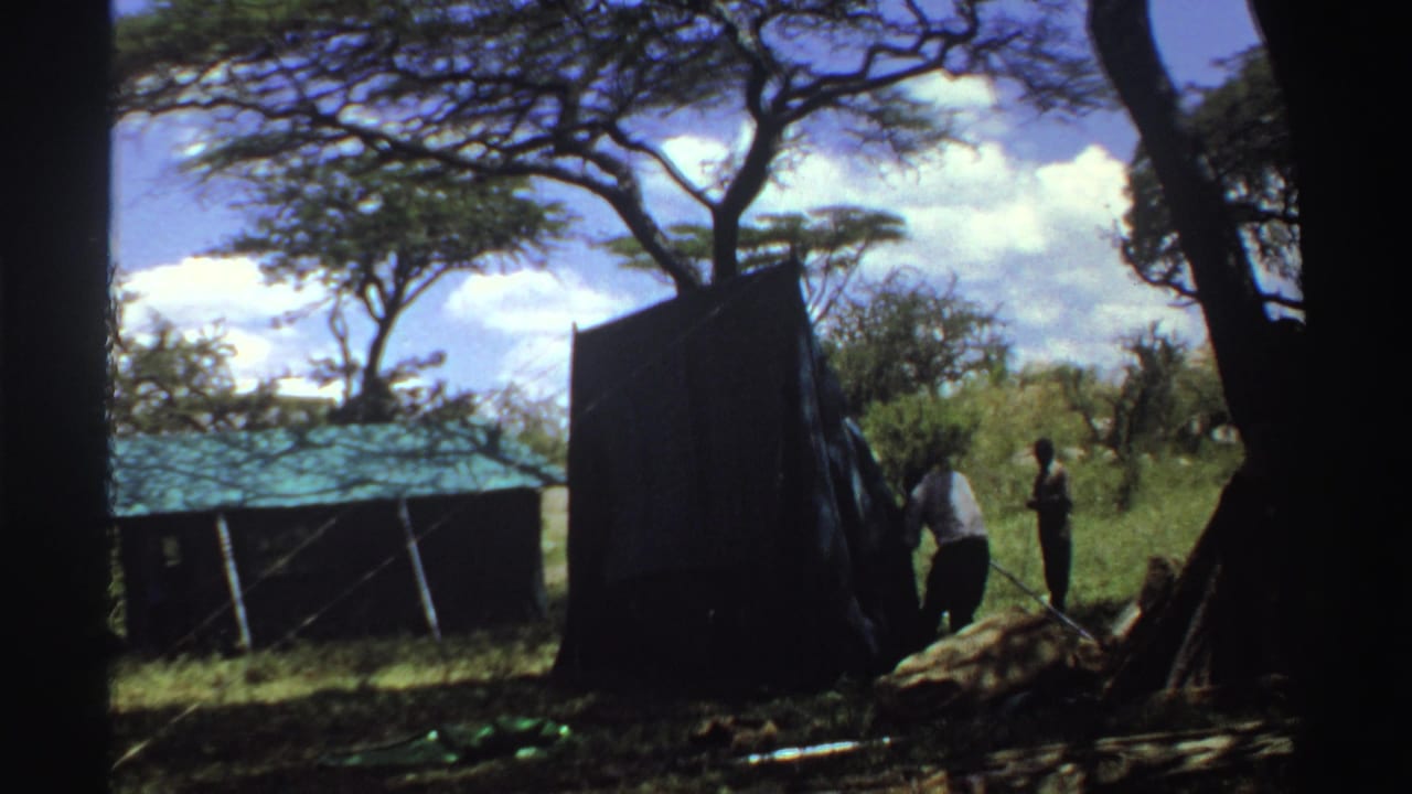 Men work beside a large dark tent in a shaded savanna clearing.