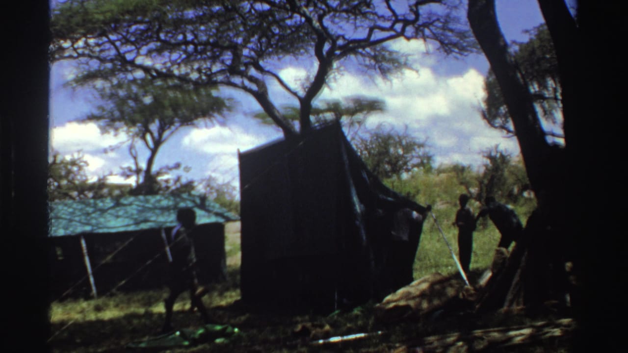 1969 Nigeria 8mm frame showing men handling a dark tent in a shaded savanna campsite with trees and open sky.