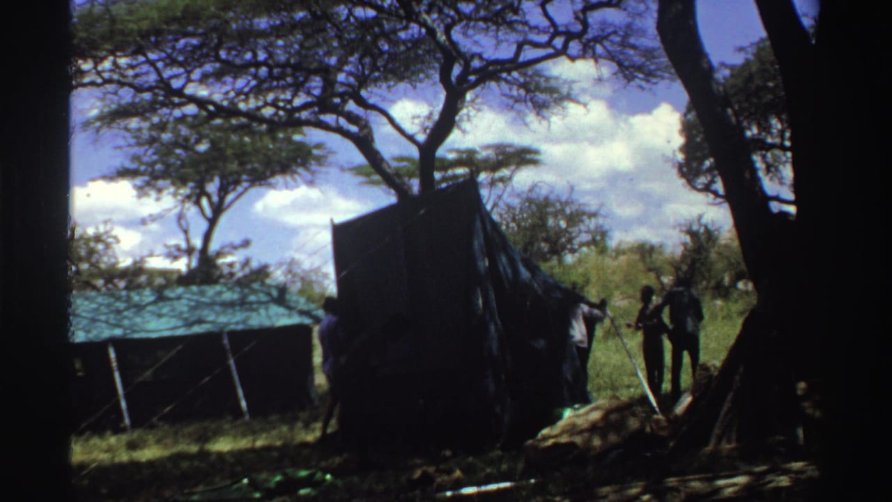1969 Nigeria 8mm frame with several men near a large dark tent in a wooded campsite, partly silhouetted by strong shade.