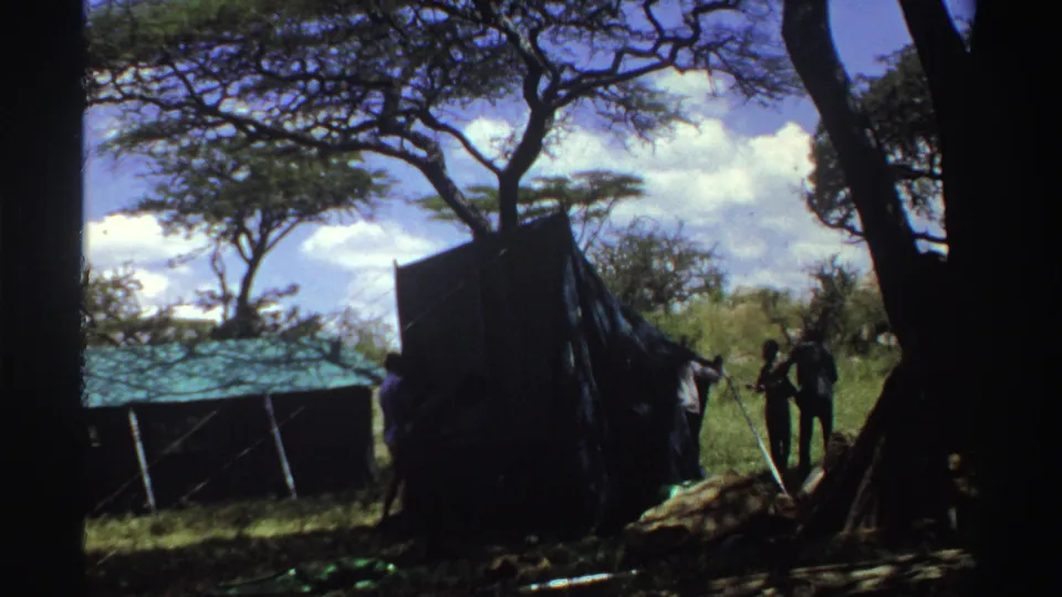 1969 Nigeria 8mm frame with several men near a large dark tent in a wooded campsite, partly silhouetted by strong shade.