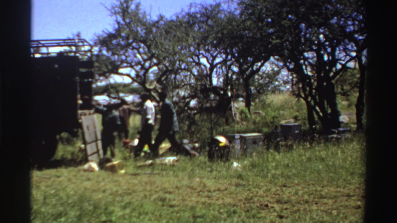 Adults appear to unload or handle supplies beside a truck in a grassy Nigerian field in 1969.