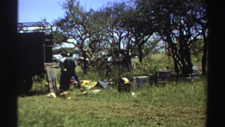An adult appears to handle items near a truck in a grassy Nigerian field, seen in soft 1969 8mm footage.