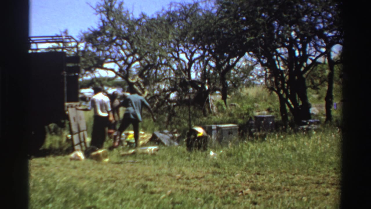 1969 Nigeria 8mm frame showing men beside a truck with scattered supplies in a grassy, tree-dotted outdoor area.