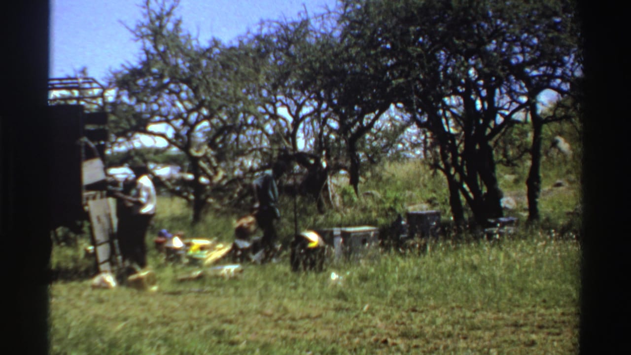 1969 Nigeria 8mm frame showing a man bending near supplies as others stand beside a truck in grassland.