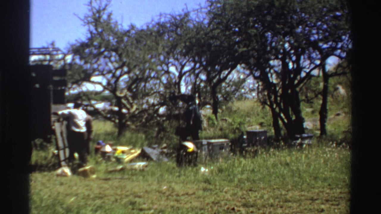 1969 Nigeria home-movie frame showing a man by a truck and supplies spread across grass under trees.