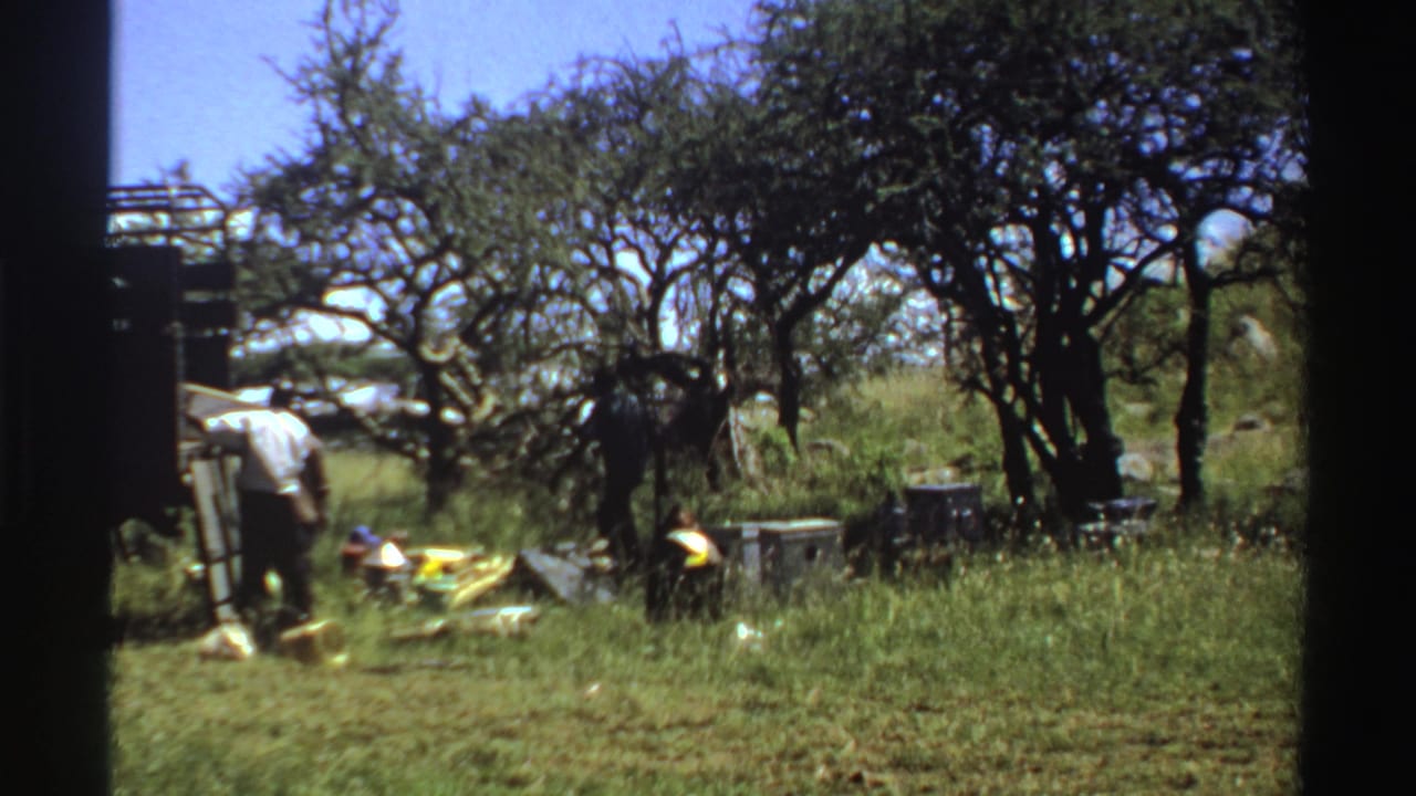 Men and camp supplies in grass beneath scattered trees.