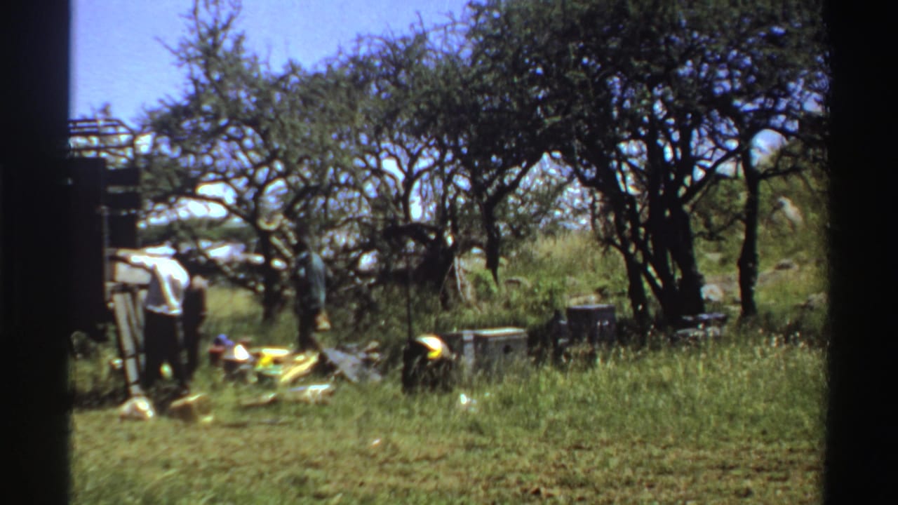 1969 Nigeria 8mm frame with men partly visible around supplies and crates in a sunlit grassy camp area.