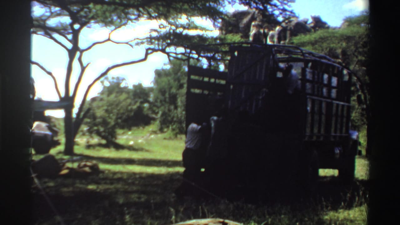 1969 Nigeria 8mm frame showing a large dark truck in shade, with men nearby and trees across a grassy clearing.